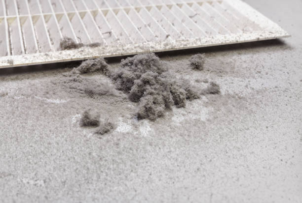 Best Residential Air Duct Cleaning  in Miller Place, NY