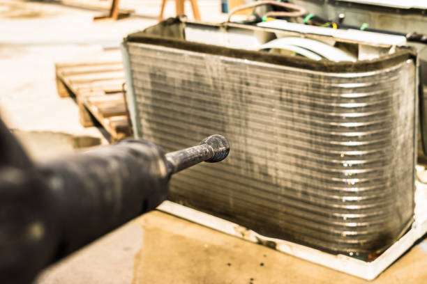 Best Air Duct Mold Removal  in Miller Place, NY