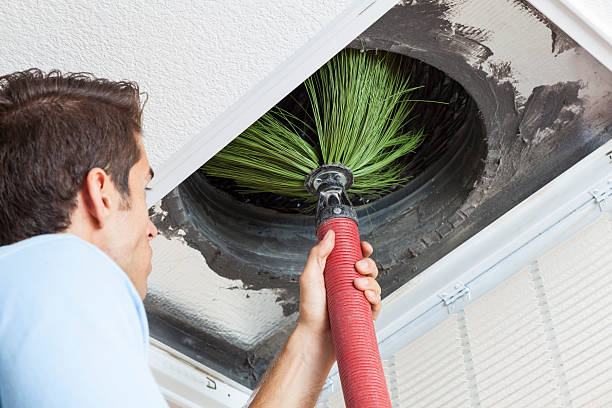 Best Professional Duct Cleaning Services  in Miller Place, NY